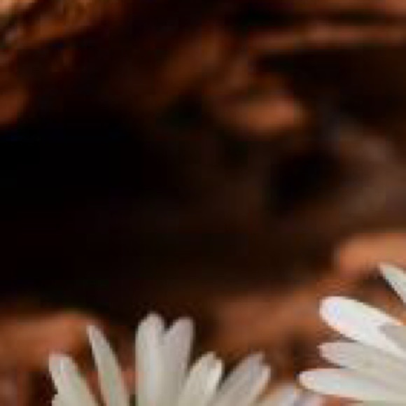 Meet your Posher, Alex - Picture 1 of 1